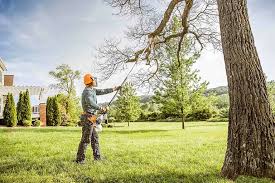 Lawn Drainage Solutions in Lake Isabella, CA