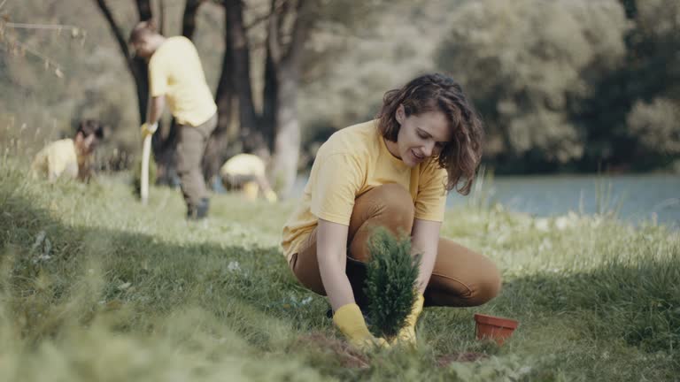 Best Lawn Irrigation Installation and Maintenance  in Lake Isabella, CA